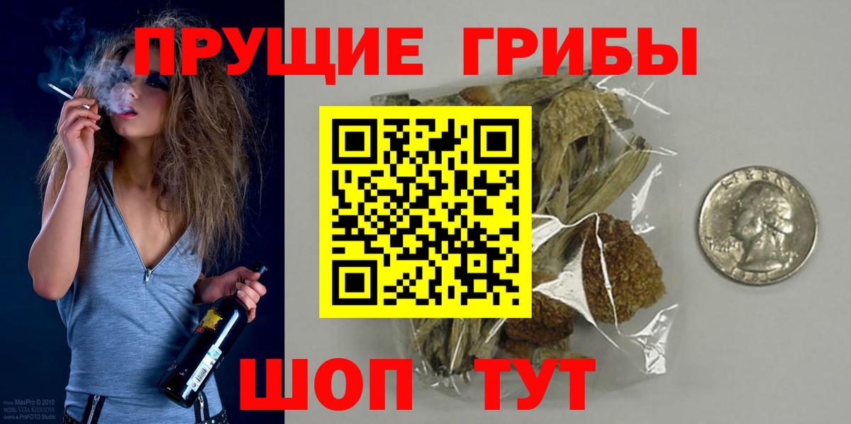 Псилоцибиновые грибы Psilocybine cubensis  Псилоцибиновые грибы прущие грибы  Вход с VPN  Рыбинск 